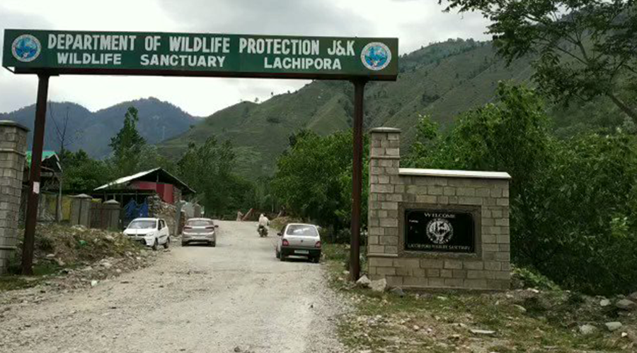 Lachipora Wildlife Sanctuary, Jammu And Kashmir